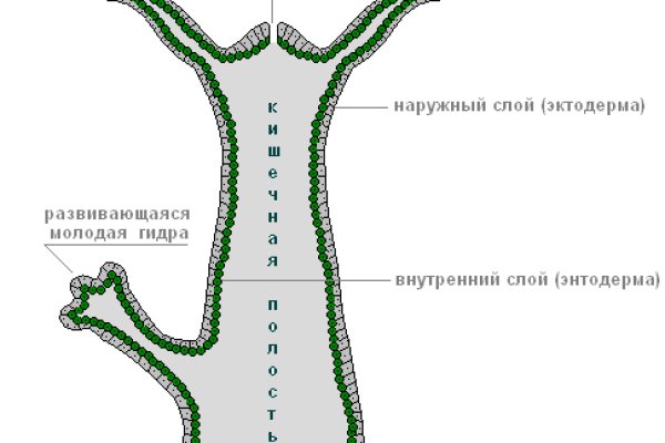 Кракен сайт продаж