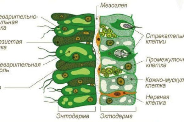 Маркет кракен маркетплейс