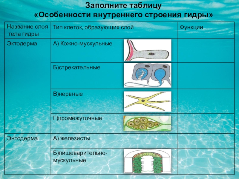 Что с кракеном сайт